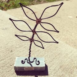 Bloom Series