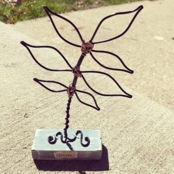 Bloom Series