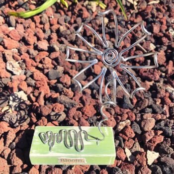 Bloom Series - Image 2